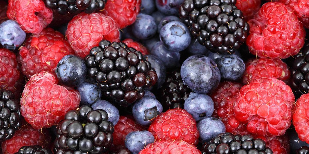 Spagna: cresce l’appetito per i piccoli frutti